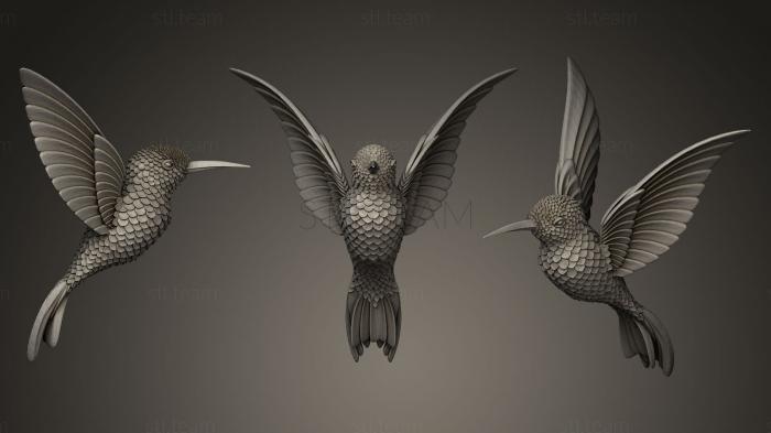 3D model colibri (STL)